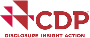 CDP(disclosure insight action)